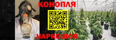 mdpv Дубна