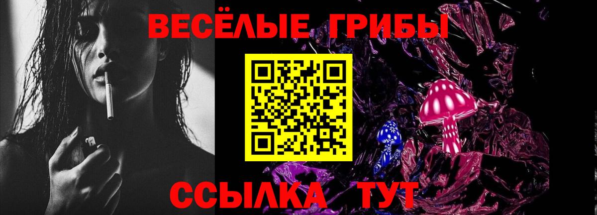 Галлюциногенные грибы Psilocybe Видное